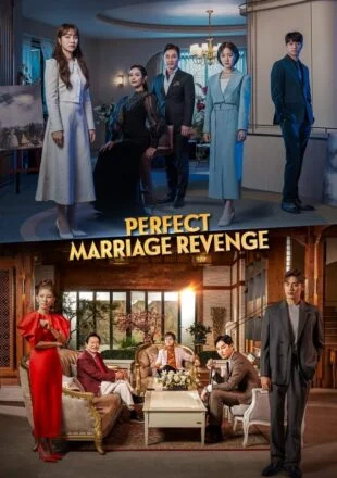 Perfect Marriage Revenge Season 1 Korean With Hindi Subtitle 720p 1080p All Episode