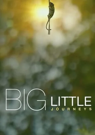 Big Little Journeys Season 1 English With Hindi Subtitle 720p 1080p All Episode